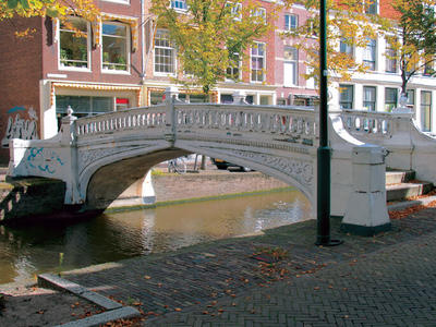 Fish bridge in Delft