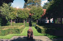 Gardens in Delft